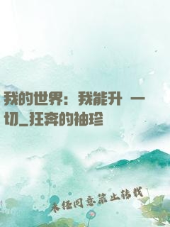 我的世界：我能升級一切