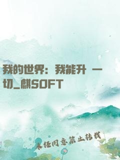 我的世界：我能升級一切
