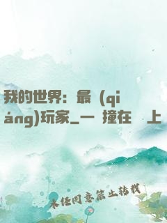 我的世界：最強(qiáng)玩家