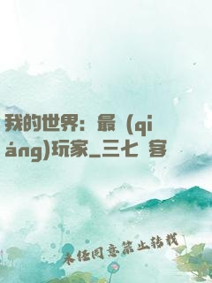 我的世界：最強(qiáng)玩家