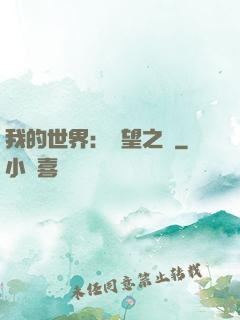 我的世界：終望之巔