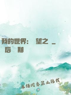 我的世界：終望之巔