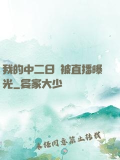 我的中二日記被直播曝光