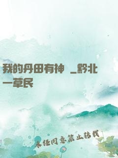 我的丹田有神劍