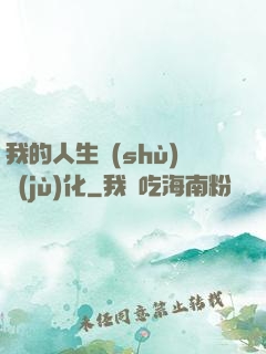 我的人生數(shù)據(jù)化