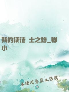我的使徒劍士之路