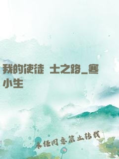 我的使徒劍士之路