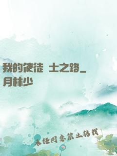 我的使徒劍士之路