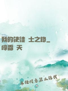 我的使徒劍士之路