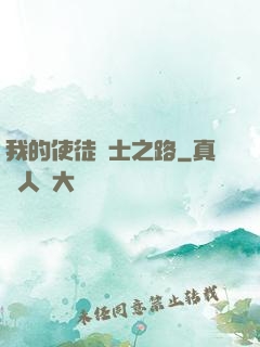 我的使徒劍士之路
