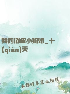 我的俏皮小狐娘