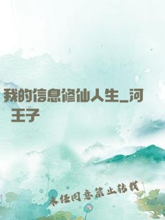 我的信息修仙人生