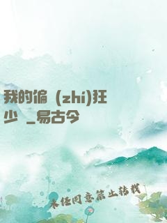 我的偏執(zhí)狂少爺