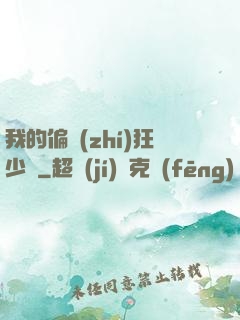 我的偏執(zhí)狂少爺