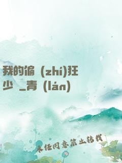 我的偏執(zhí)狂少爺
