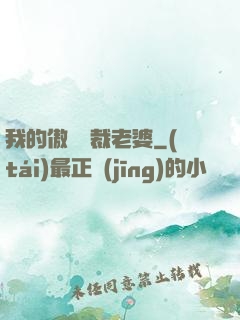 我的傲嬌總裁老婆