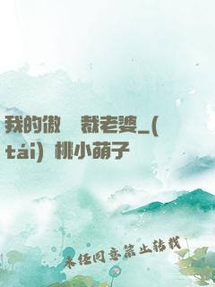 我的傲嬌總裁老婆