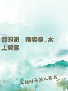 我的傲嬌總裁老婆