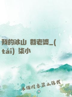 我的冰山總裁老婆