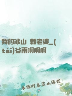 我的冰山總裁老婆