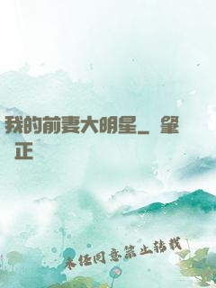 我的前妻大明星