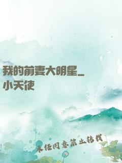 我的前妻大明星