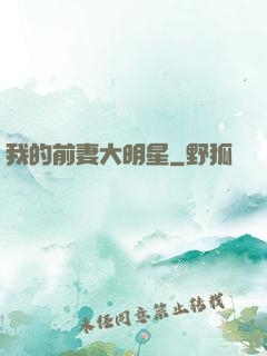 我的前妻大明星