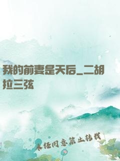 我的前妻是天后