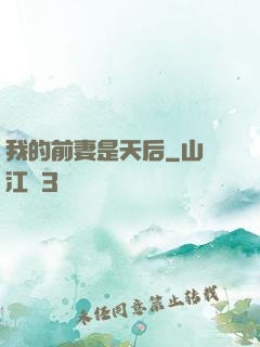 我的前妻是天后