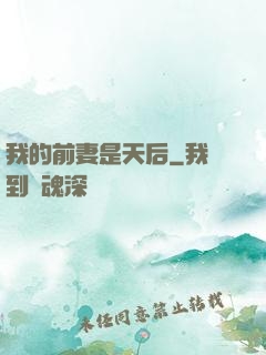 我的前妻是天后