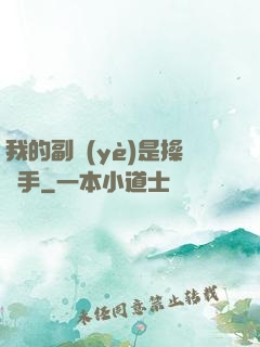 我的副業(yè)是操盤手