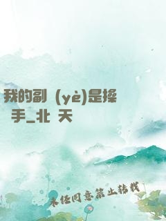我的副業(yè)是操盤手