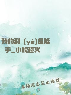 我的副業(yè)是操盤手
