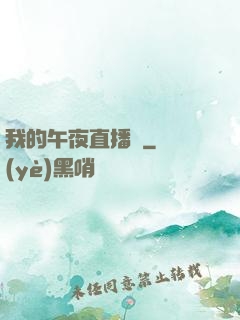 我的午夜直播間