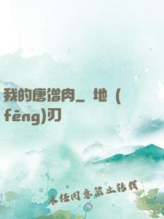 我的唐僧肉