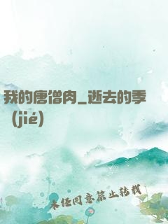 我的唐僧肉
