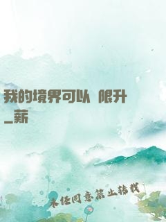 我的境界可以無限升級