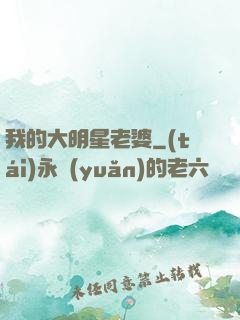 我的大明星老婆