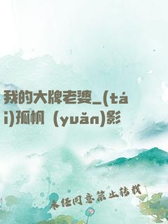 我的大牌老婆