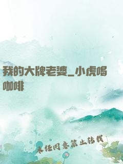 我的大牌老婆