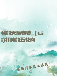我的天后老婆