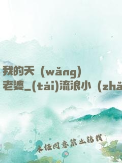 我的天網(wǎng)老婆