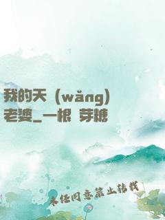 我的天網(wǎng)老婆