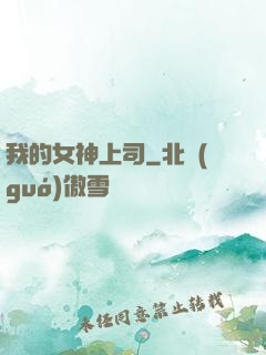 我的女神上司