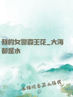 我的女警霸王花