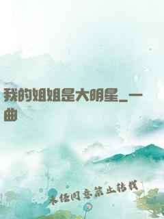 我的姐姐是大明星