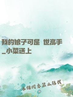 我的娘子可是絕世高手