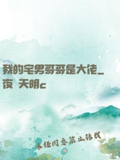 我的宅男哥哥是大佬