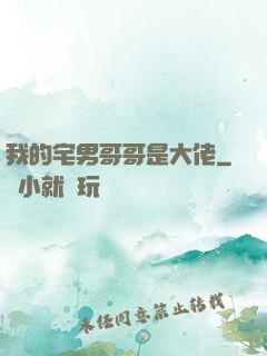 我的宅男哥哥是大佬