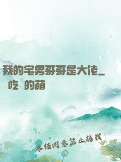 我的宅男哥哥是大佬
